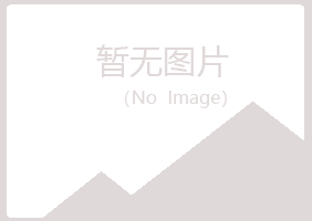 龙岩新罗迷失水泥有限公司